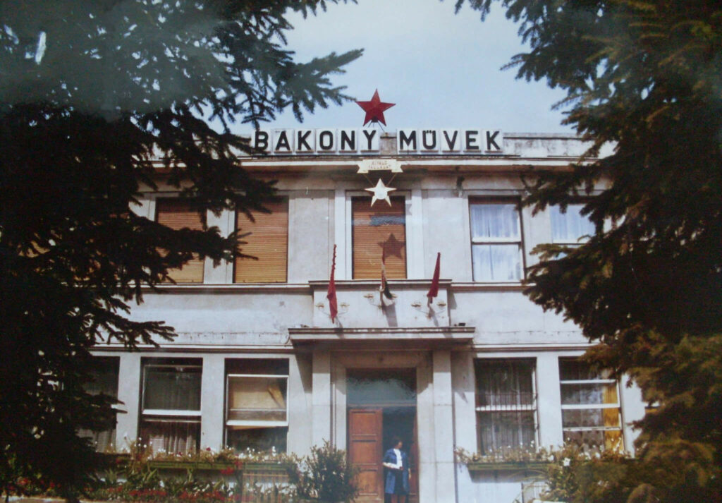 1970-s-bakony-muvek-nyitokep-1